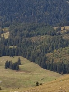 20181003_142308