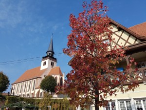 20181019_131308